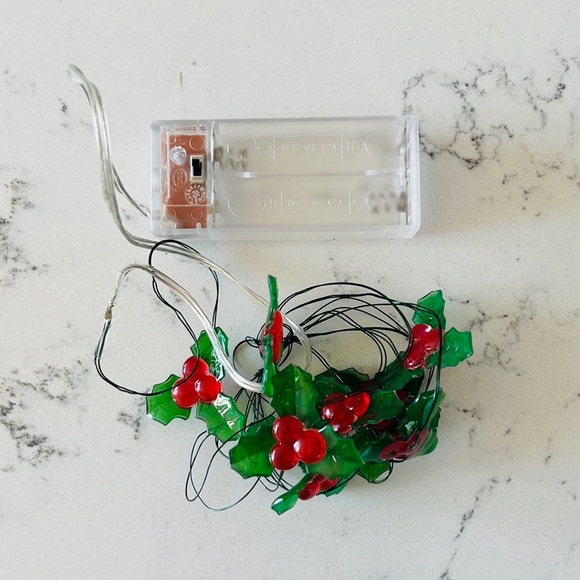 Pier 1  Holly Glimmer 5' LED  String lights - Picture 10 of 15